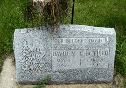 CHATFIELD David N 1968-1995 grave.jpg